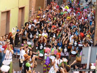 Blokodelvalle Carnaval de Dia SC191